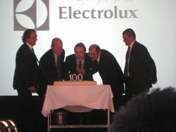 electrolux_100_2.jpg