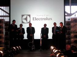 electrolux_100_3.jpg