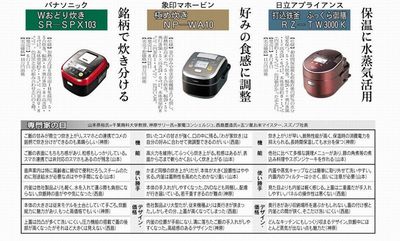 nikkei_20130815_2.jpg