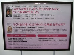 sakura_8.jpg