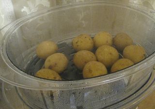 steam_cooker_4.jpg